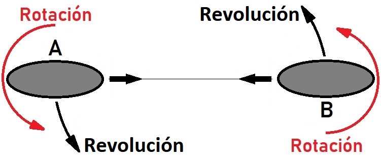 761 Brendelia sincr. rotacion.jpg