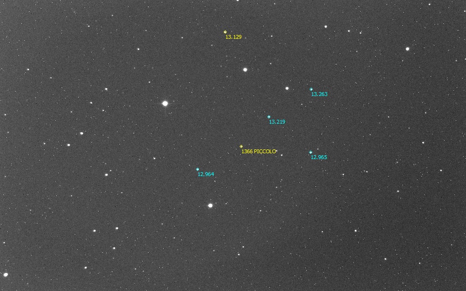 1366_Piccolo_2024_09_29_OAO_M.Martini_Estrellas.jpg