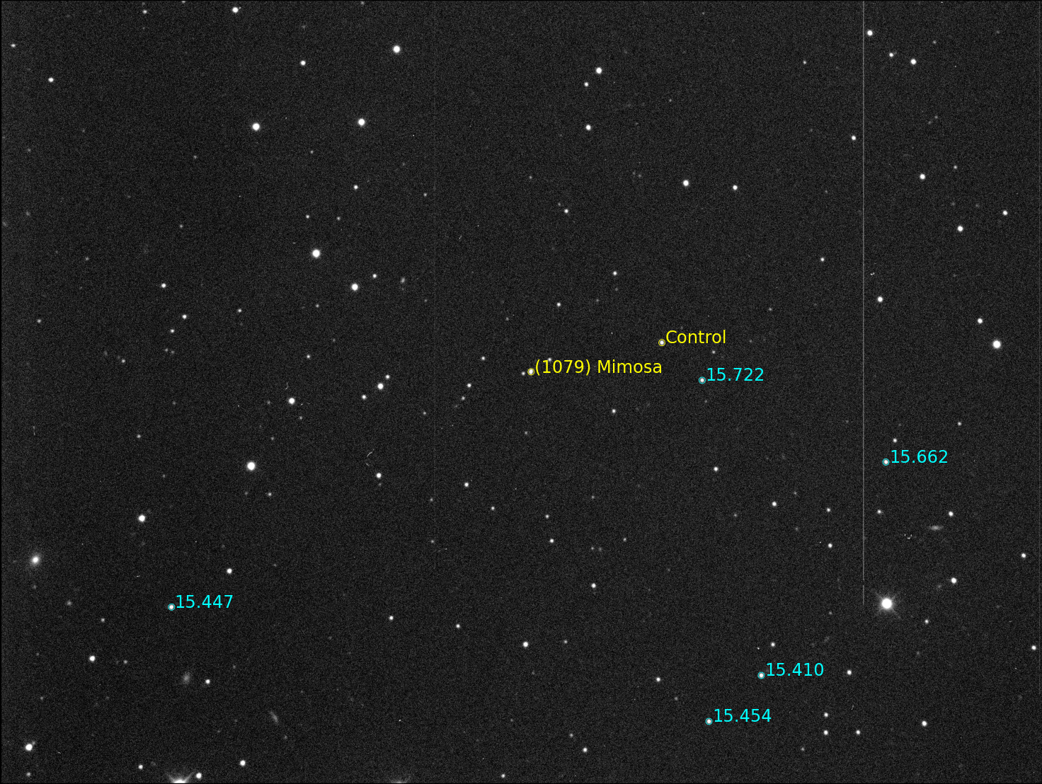 1079_Mimosa_stars.png