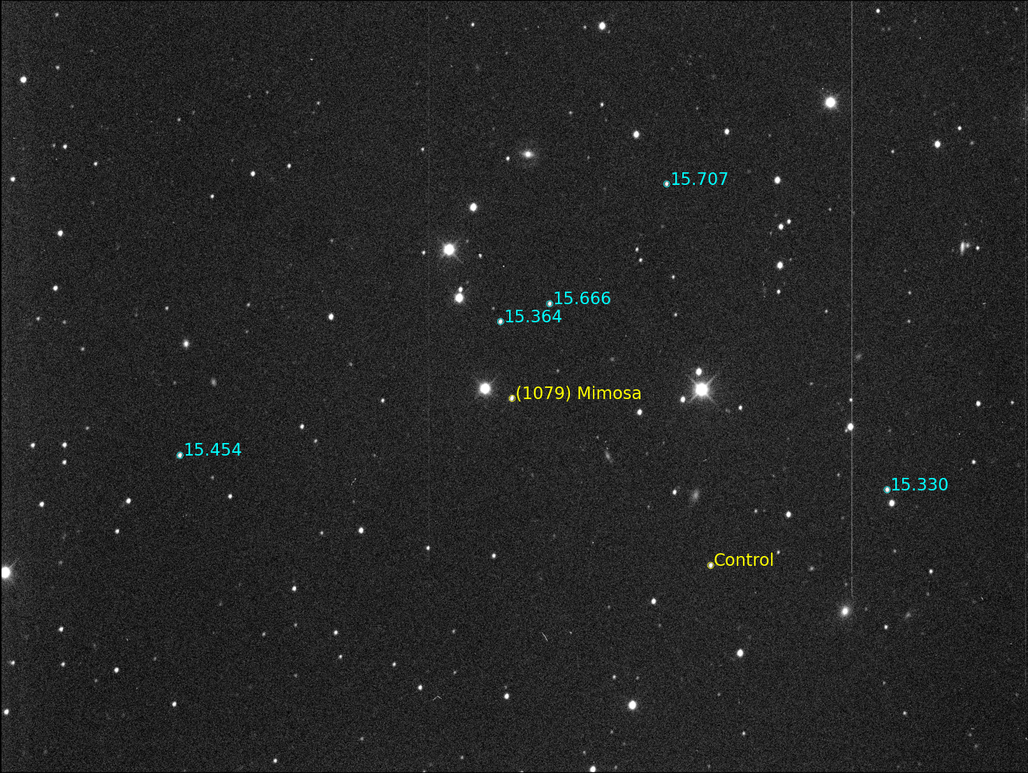 1079_Mimosa_stars.png