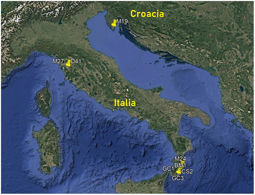 Mapa GORA 2025 06 ITALIA CROACIA.jpg