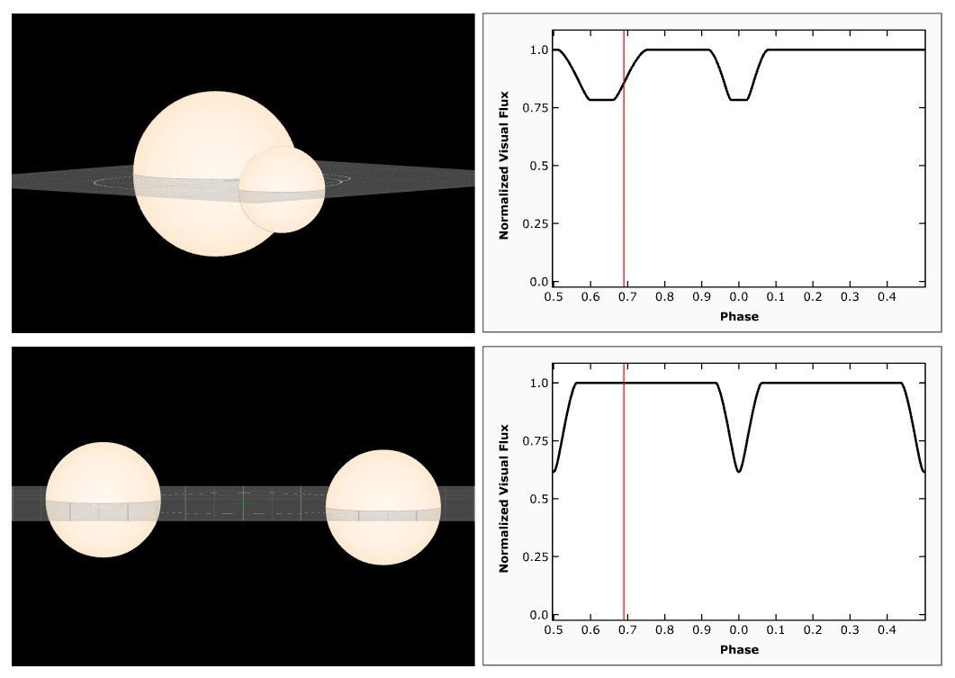 761 Brendelia transitos.jpg