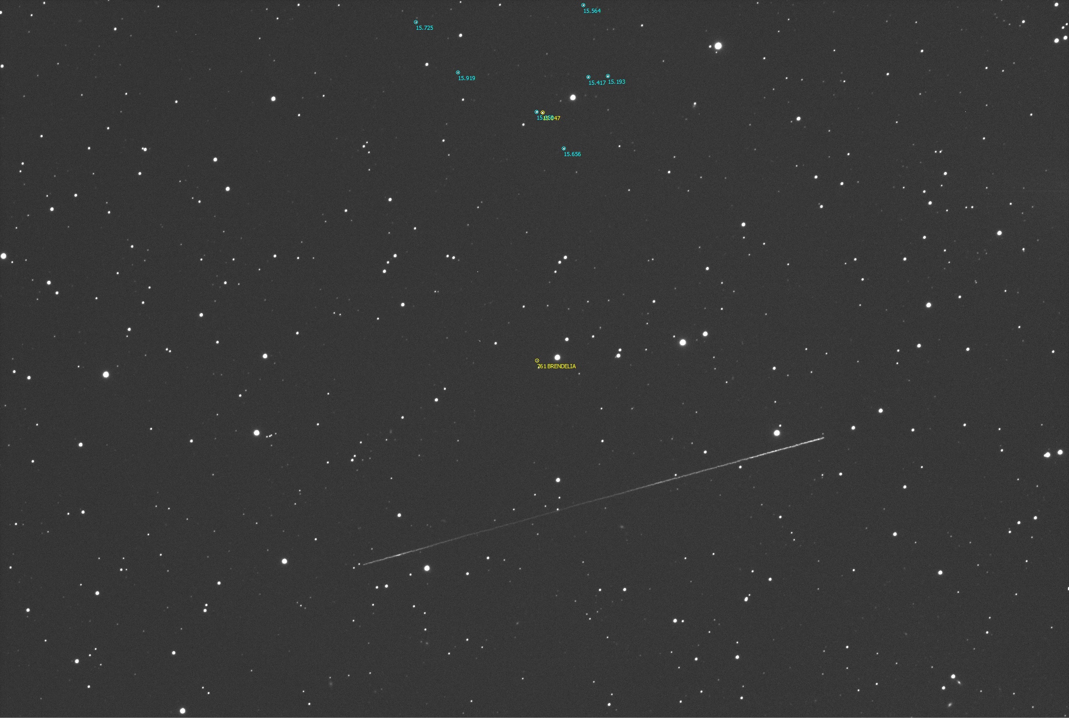 FOV_Brendelia.jpg