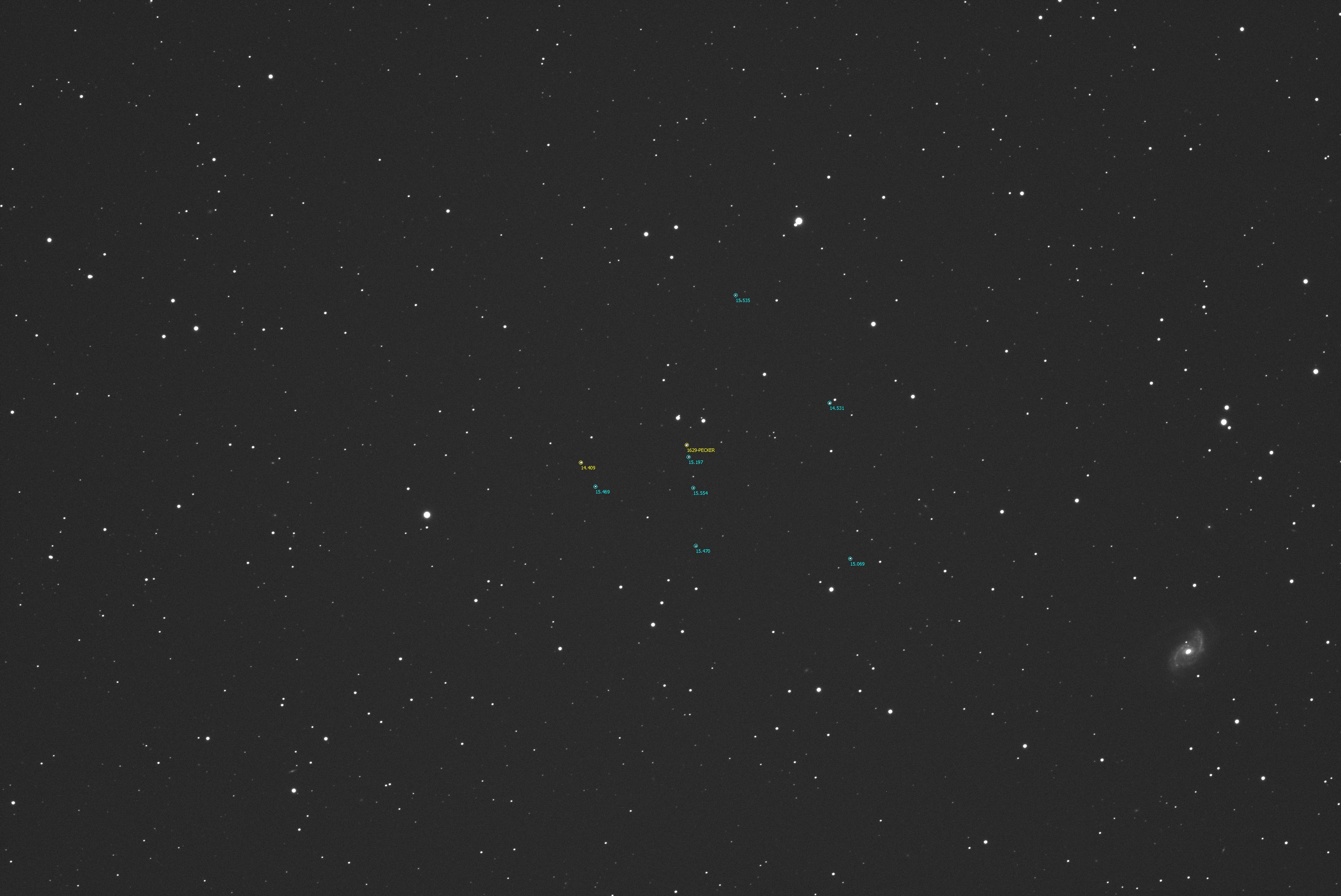 1629-Pecker posicions.jpg