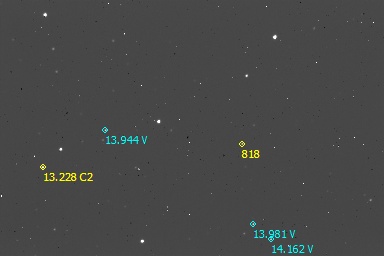 818-kapteynia-2026-08-30-821 M.Leiva.jpg