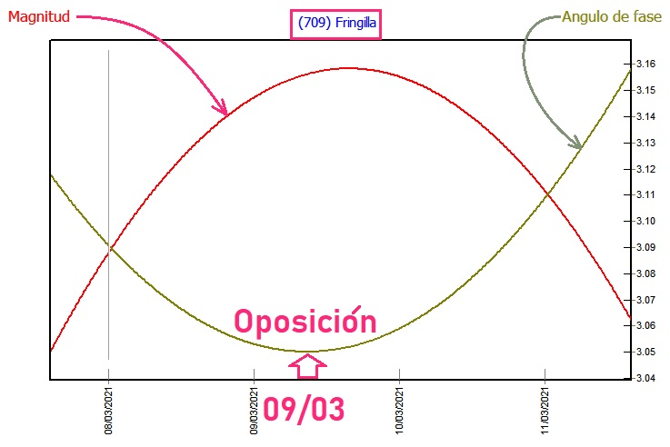 709 Fringilla OPOSICION.jpg