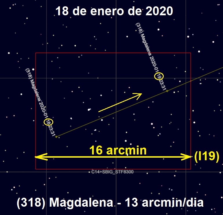 318 Magdalena movimiento.jpg