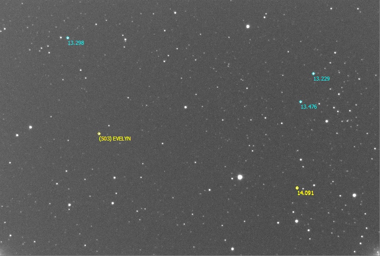 503_Evelyn_2021_05_30_OAO_M.Martini_Estrellas.jpg