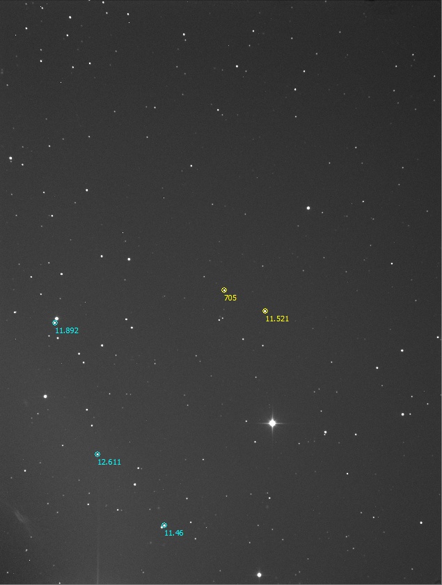 Erminia starfield.jpg