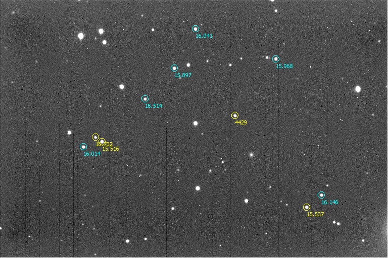 4429 Chinmoy-estrellas-FD.jpg