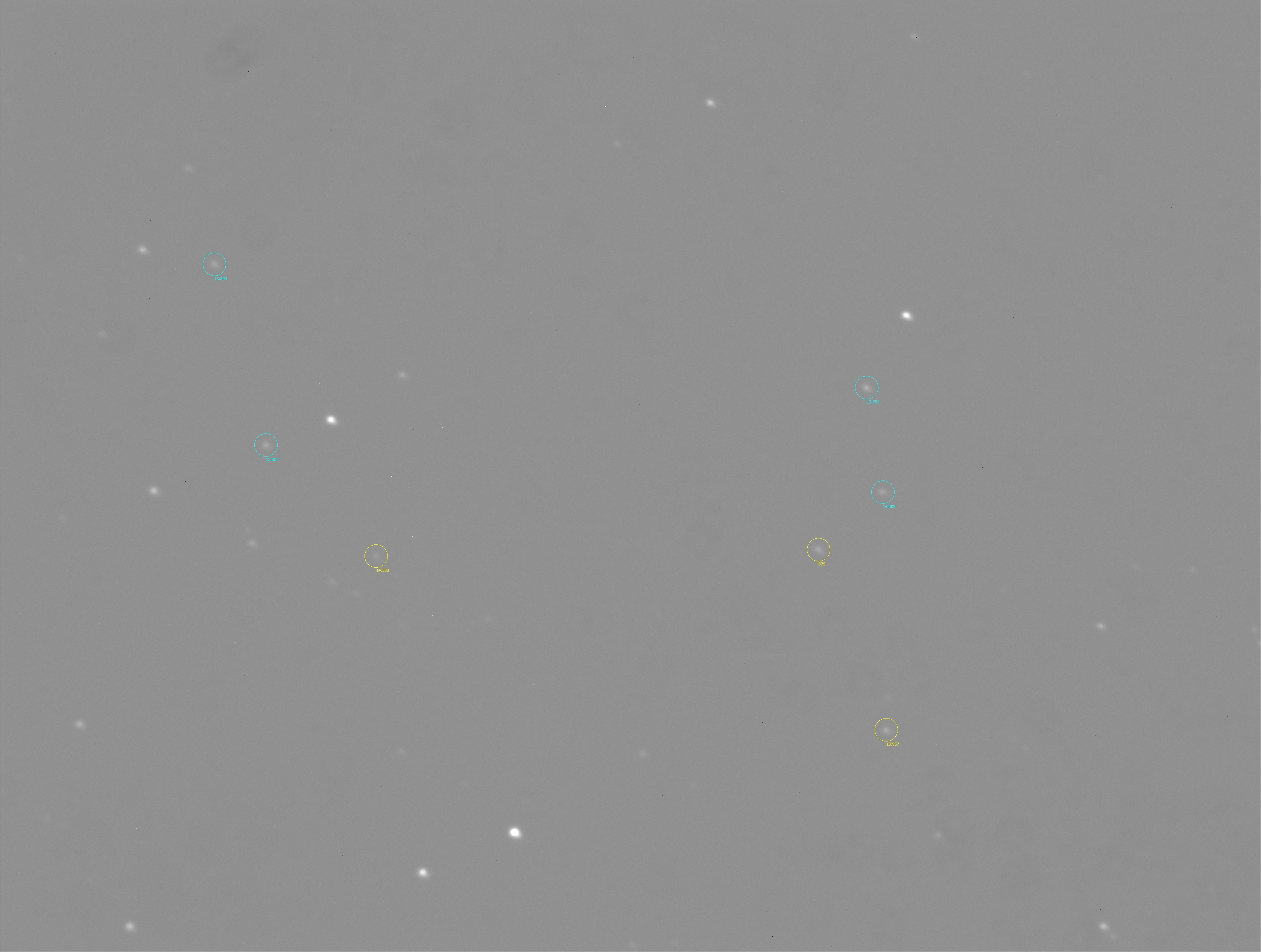 20221008_879-estrellas_FD.jpg