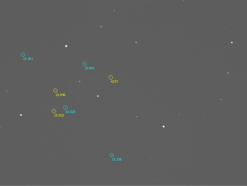 20221208_4373_a_ESTRELLAS.jpg