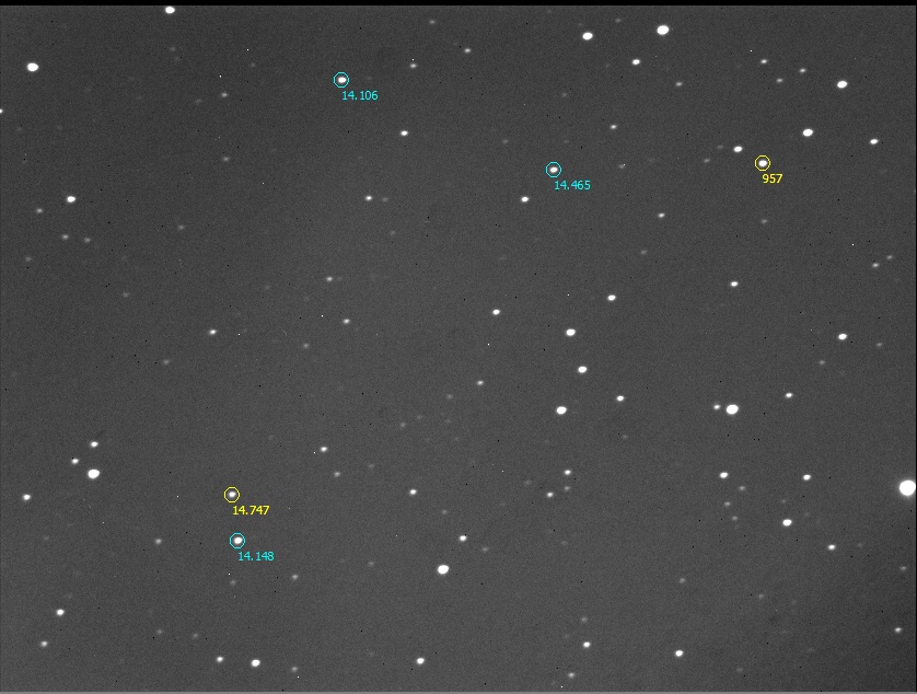 20230124_957-ESTRELLAS-FD-4.jpg